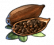 CSA production icon cocoa beans.png